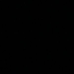 Meet your Posher, Gianna